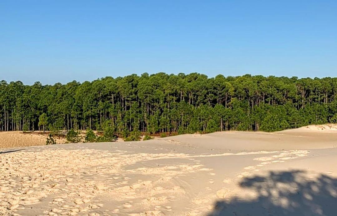 Florianópolis Quinta Do Mocambique 빌라 외부 사진