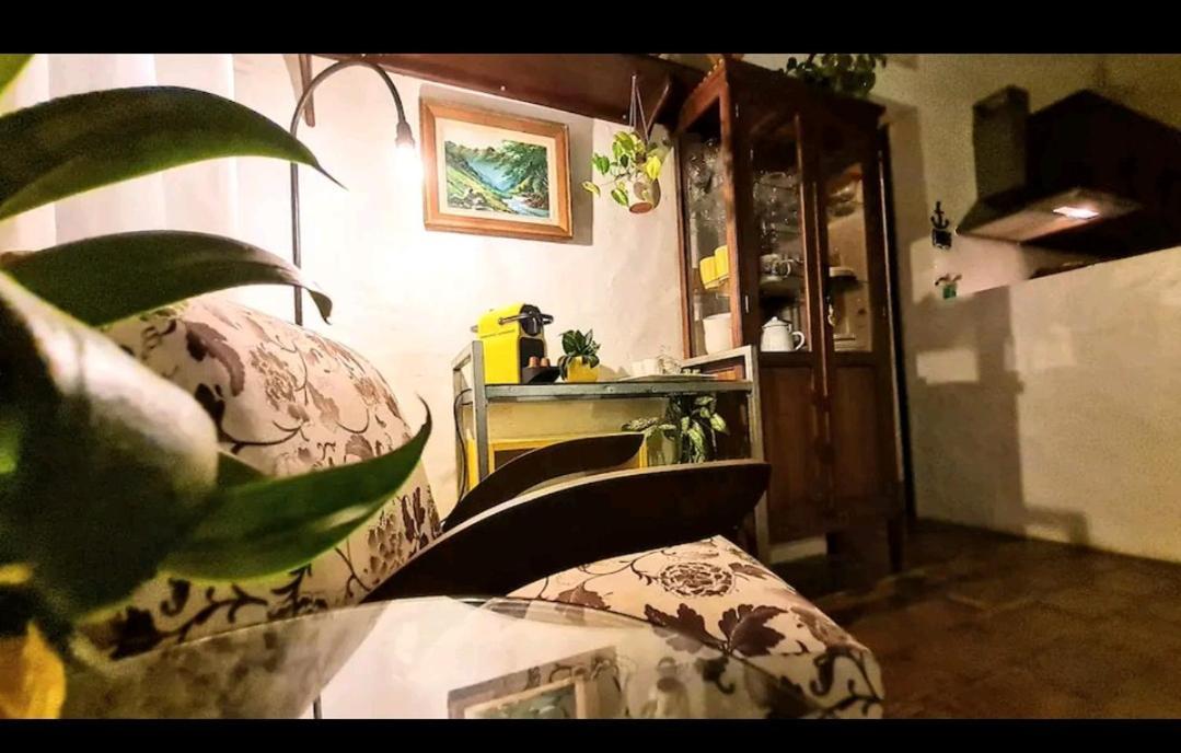 Florianópolis Quinta Do Mocambique 빌라 외부 사진